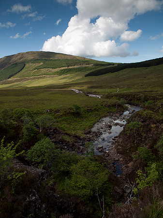 20110611-Skye-Q6111576