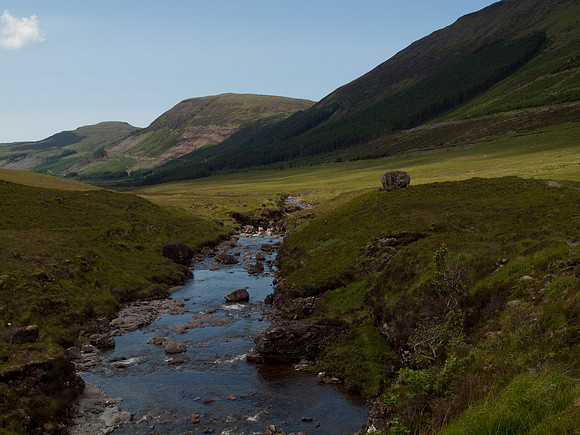 20110611-Skye-Q6111586