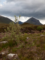 20110611-Skye-Q6111661