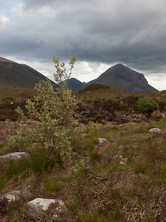 20110611-Skye-Q6111661