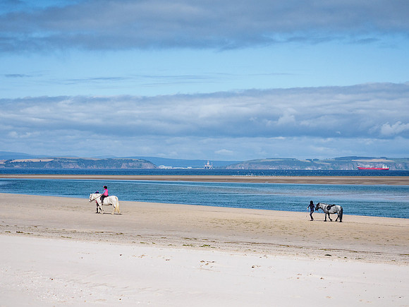 Nairn Beach [1808041]