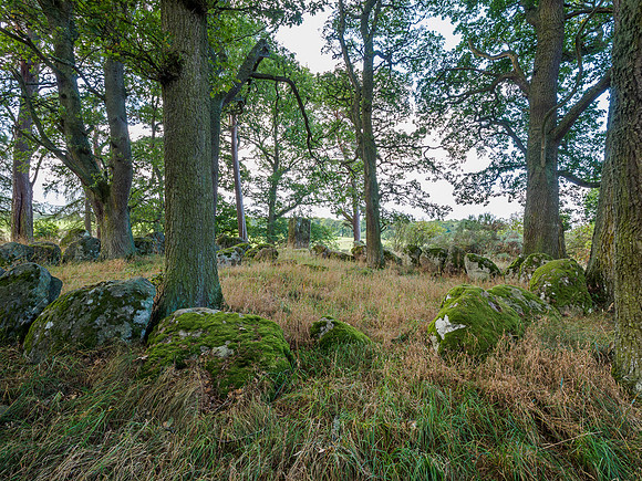 Druid Temple, Inverness [180844]