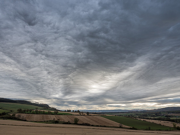 Crazy Skies