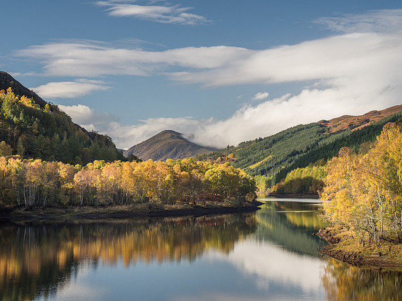 Autumn Colour