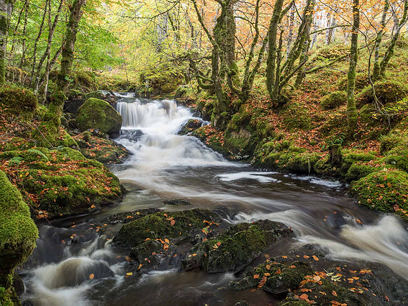 Eskadale Burn