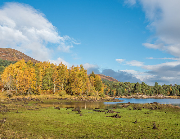 Affric Autumn