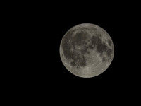 Harvest Moon