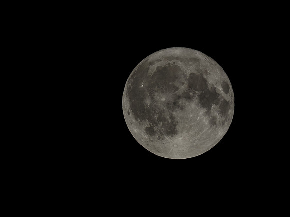 Harvest Moon