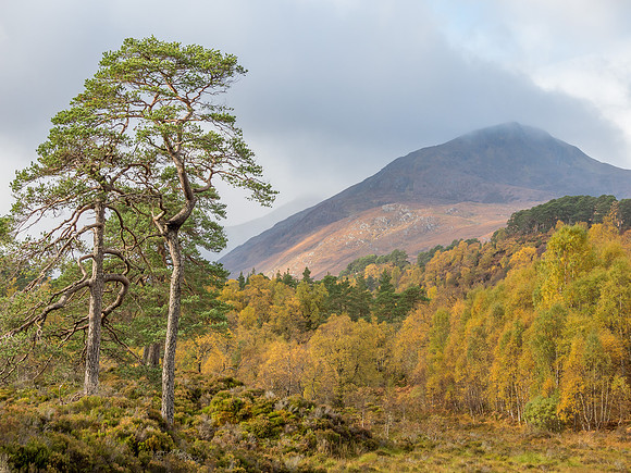 Affric Autumn