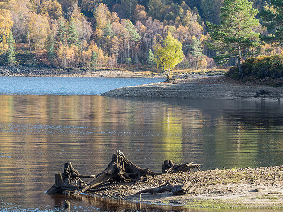 Affric Autumn