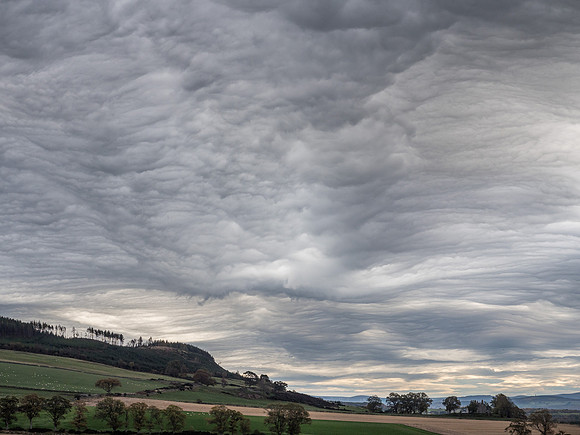Crazy Skies