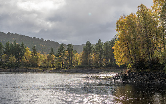 Affric Autumn