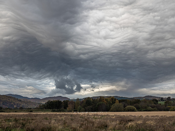 Crazy Skies