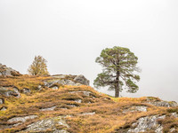 Murky Mullardoch