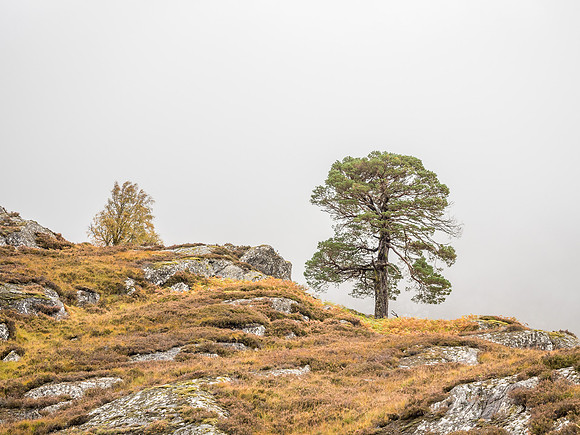 Murky Mullardoch