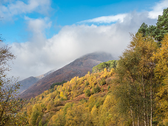 Affric Autumn