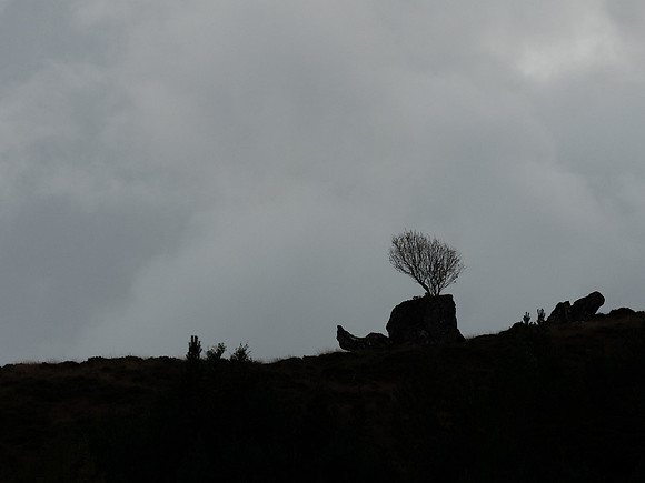Gleann Meinich Silhouette