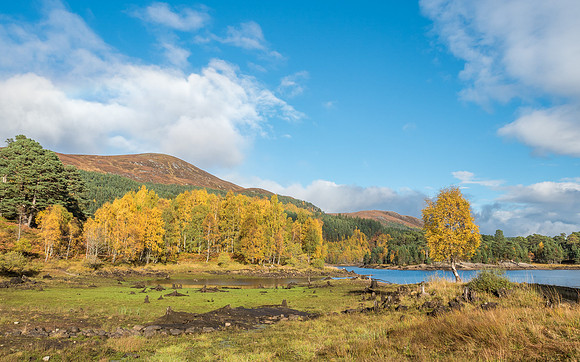 Affric Autumn