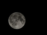Harvest Moon