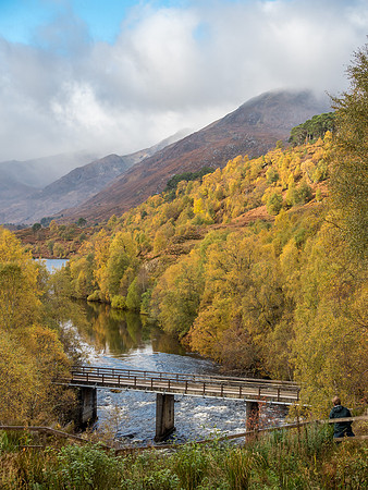 Affric Autumn