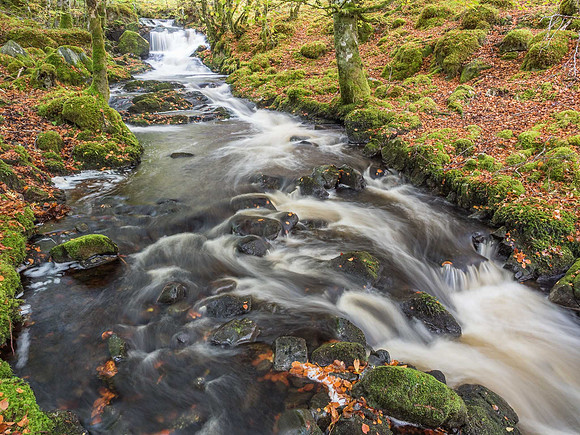 Eskadale Burn