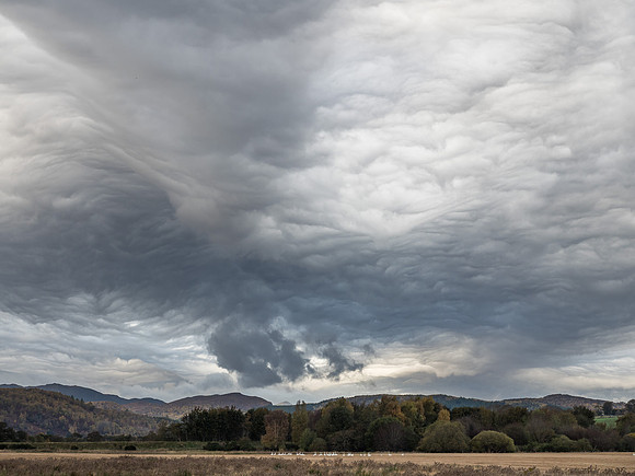 Crazy Skies