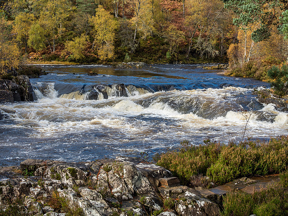 Affric Autumn
