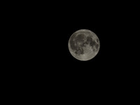 Harvest Moon
