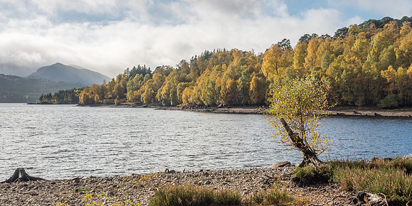 Affric Autumn