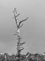 20171007-Drumnadrochit-EM525162-Edit