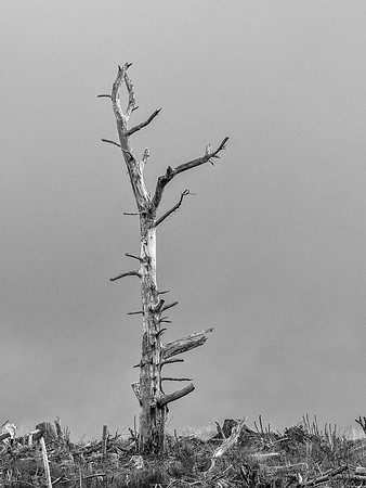 20171007-Drumnadrochit-EM525162-Edit