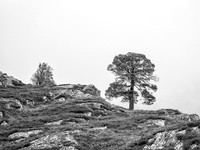 Murky Mullardoch