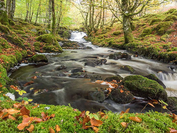 Eskadale Burn