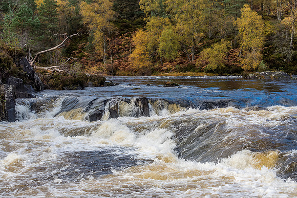 Affric Autumn