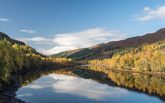 Autumn Colour