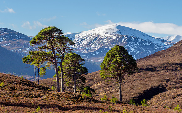 20210228-Glen Cannich-EM128367