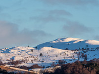 20210208-Balmacaan-EM126720