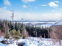 20210207-Glen Coiltie-EM126714