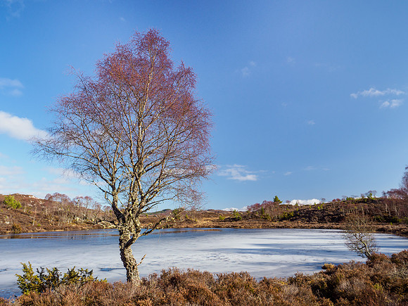 Loch Maolachan