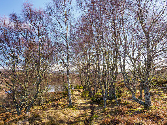 Loch Maolachan