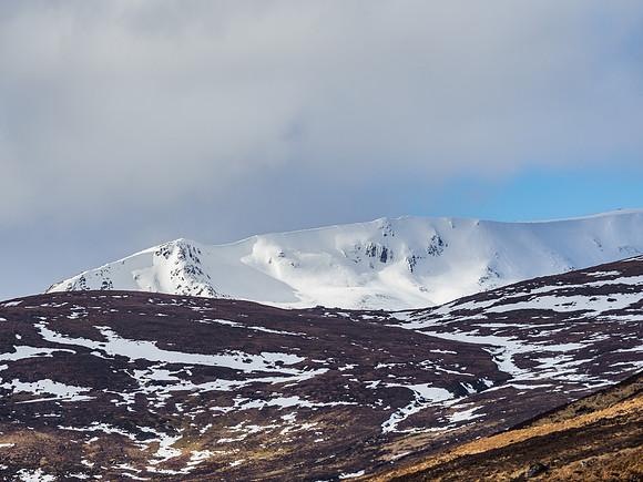 Tom a' Chòinnich