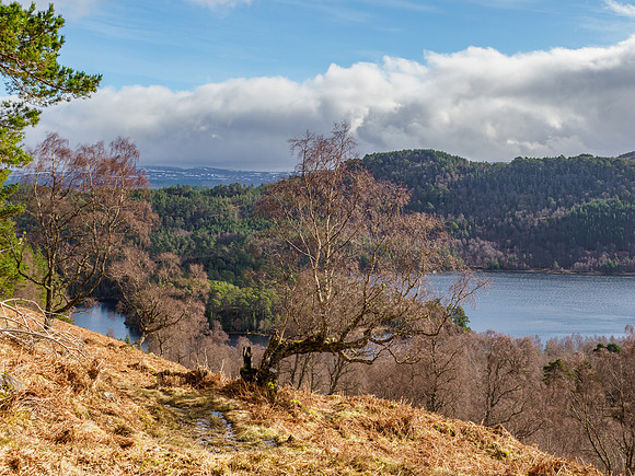 20210226-Glen Affric-EM128246