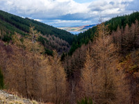 The view to Loch Ness