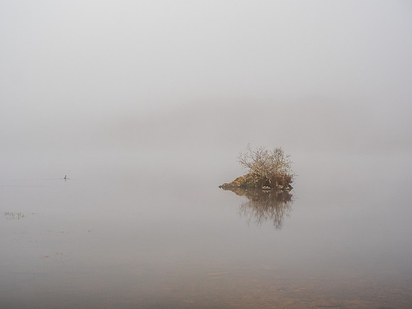 Duck, Island