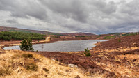 Loch Comhnard
