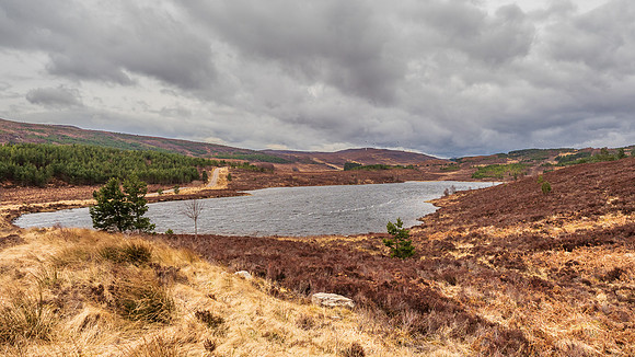 Loch Comhnard