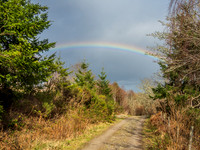 20200406-Rainbow-EM522162