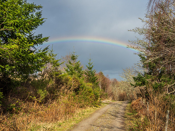 20200406-Rainbow-EM522162