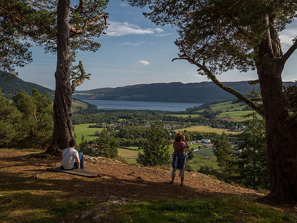 20170923-Balmacaan Wood-EM524867