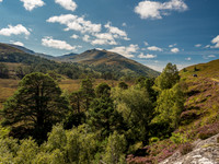 Gleann Innis an Loichel